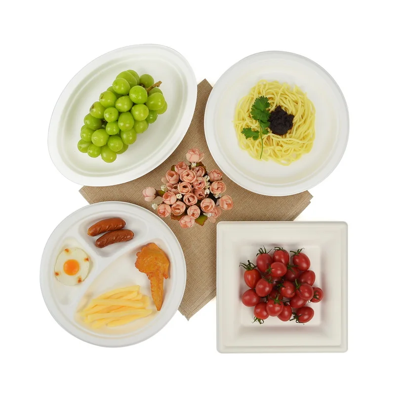 3 compartment disposable biodegradable takeaway bagasse pulp paper party dinner cake food wedding dishes plates set for birthday