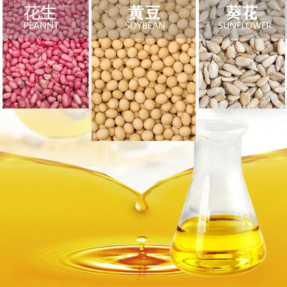 HIGH QUALITY Oil Extraction Press Machine Castor Oil Cold Pressing Machine Hemp Seed Oil Press Machine Manual