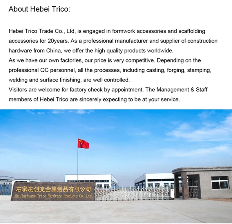 company info