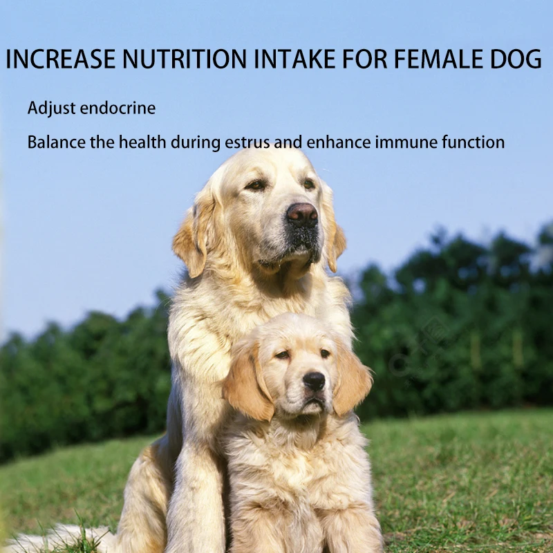 shengyubao supplemental nutrition for female dog improve canine estrus kennel veterinary nutrition vitamin plant protein