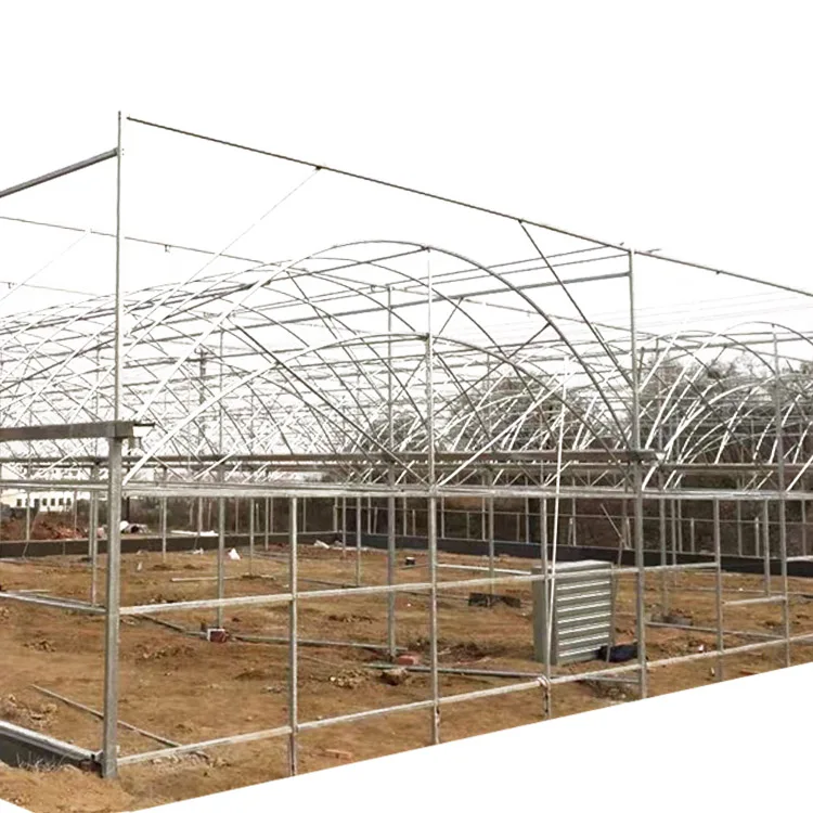 Greenhouse Plastic Film And Agricultural Hydroponic Growing Systems For Tomatoes