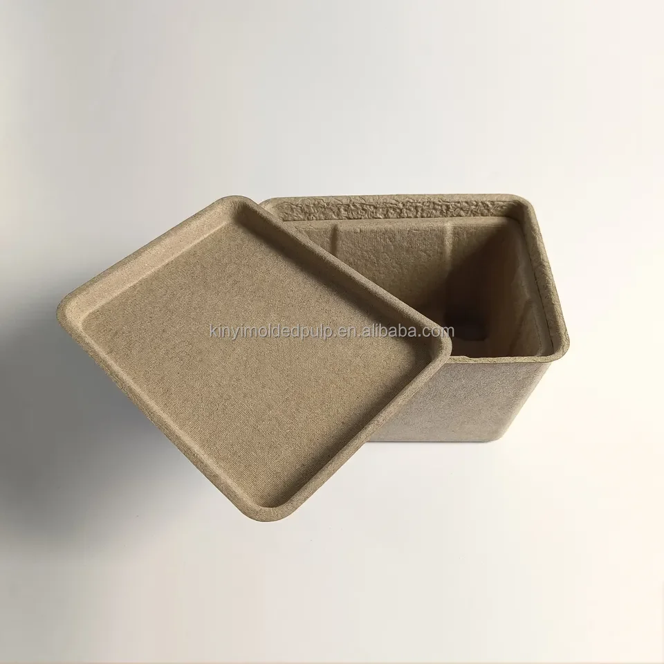 Customized  Design Bio Eco-friendly Paper Dry Press Fruit Pulp Pulp Packaging OEM/ODM For Fruit Vegetablles
