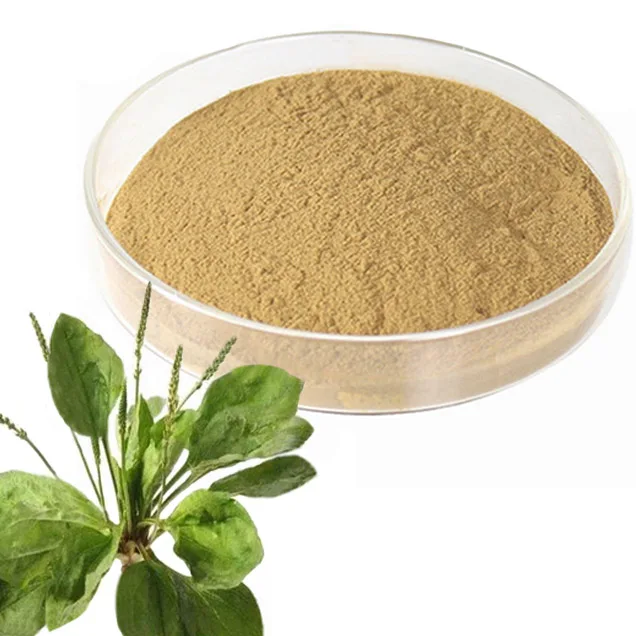 Manufacturer Supplier plantenolic acid 4:1 10:1 20:1 Plantain Extract Asiatic plantain Herb P.E.