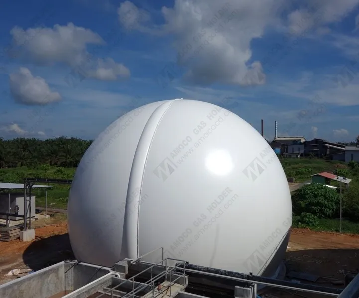 
Automatic Controlled Membrane Biogas Storage Tank/Biogas Balloon/Gas Holder for Biogas Digester in Malaysia 