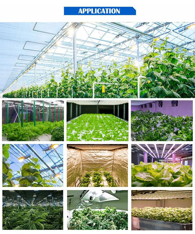 JK Hot Sale Factory Price 400w 600w HID Grow Light Fixture For MH And HPS Lamps