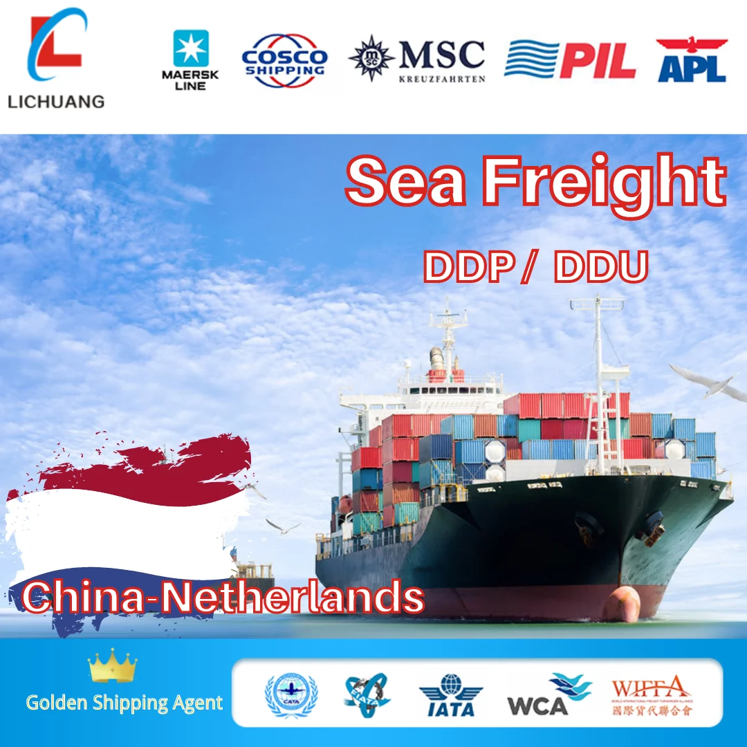 LCL Ocean Freight Agent Transport From China to Netherlands sea shipping DDU/DDP international logistics service