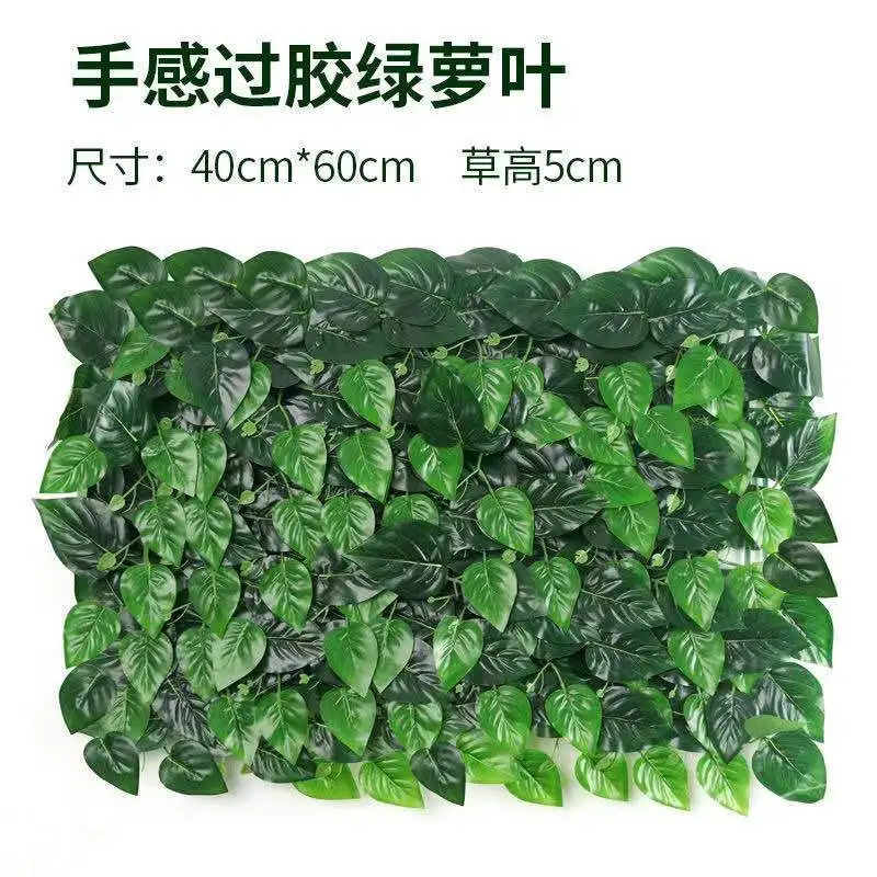 21185015.jpg