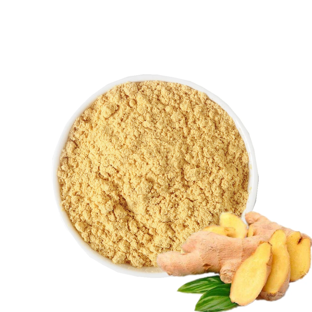 Wholesale Factory Supply Dried Ginger Root Extract powder CO2 Supercritical extraction