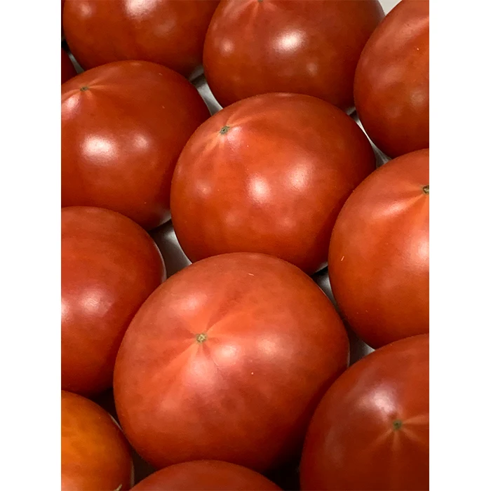 Delicious healthy hot sale sweet vegetables whole tomato from japan
