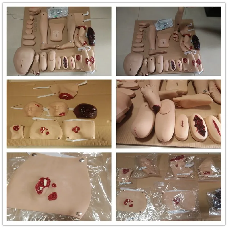 ADA-A1052 PVC and Glass Gastric Anatomy Model for Medical Education for Schools and Hospitals