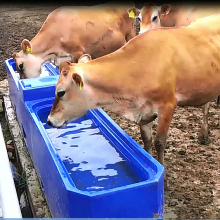 Water Trough  Automatic Drinker Drinking Bowl For Cow Animal Drinkers