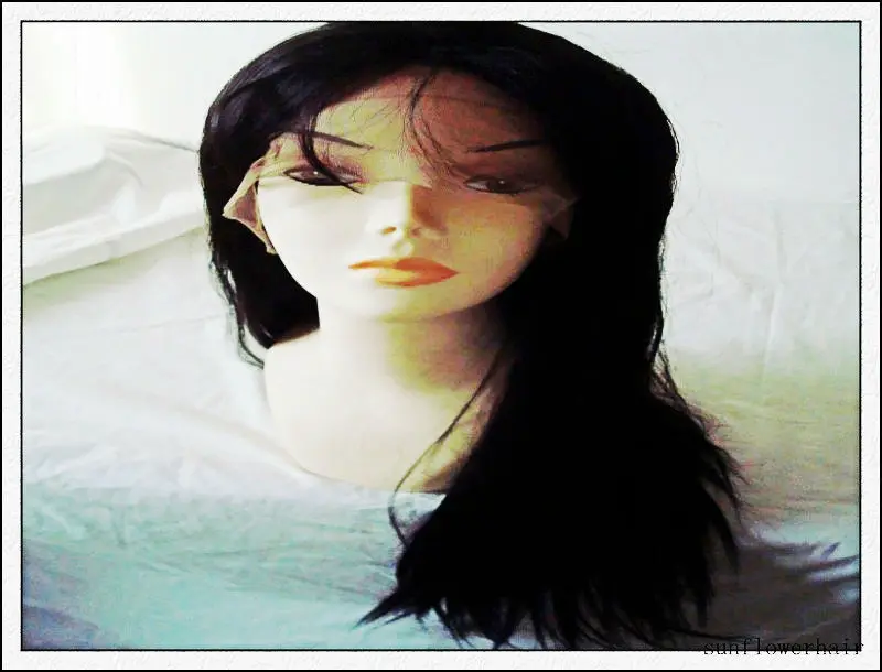 
Beauty life for 100 percent virgin filipino human hair front lace wig 