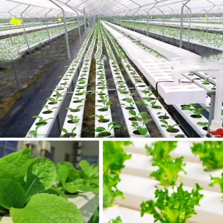 vegetable  aeroponics and vertical greenhouse complete hydroponic system kit PVC pipe 50mm nft channel hydroponics