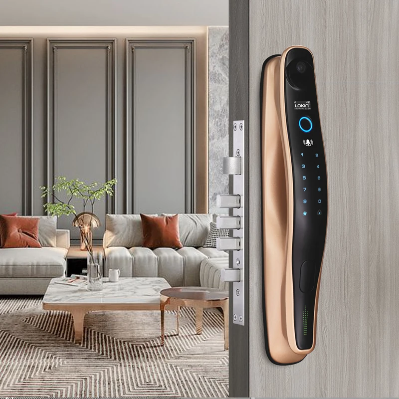 New Design Fingerprint Smart Door Lock With Face Recognition Door-Viewer Camera And Built-In Door Viewer