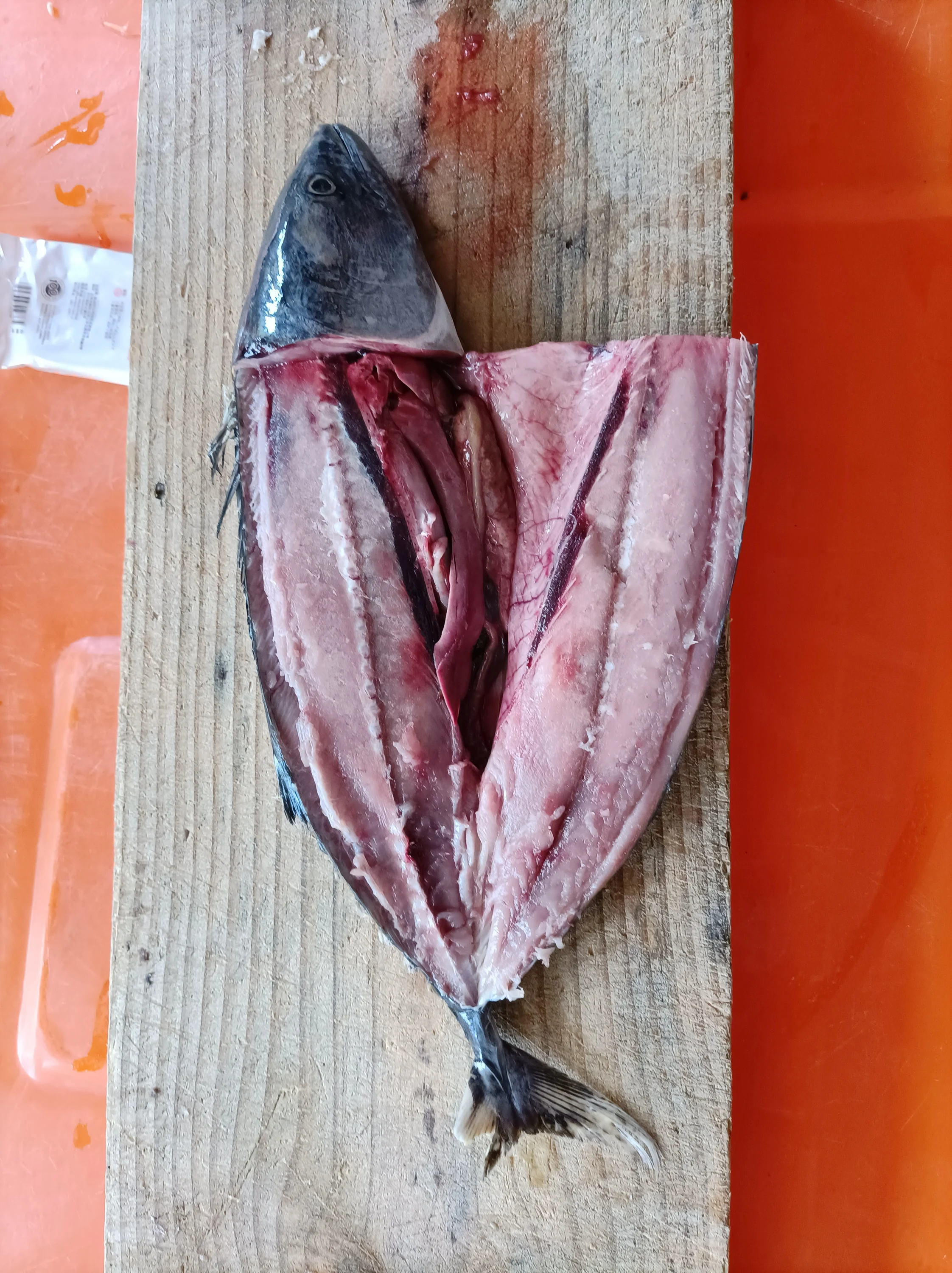 
1000g+ Frozen Bonito Fish Skipjack Tuna 
