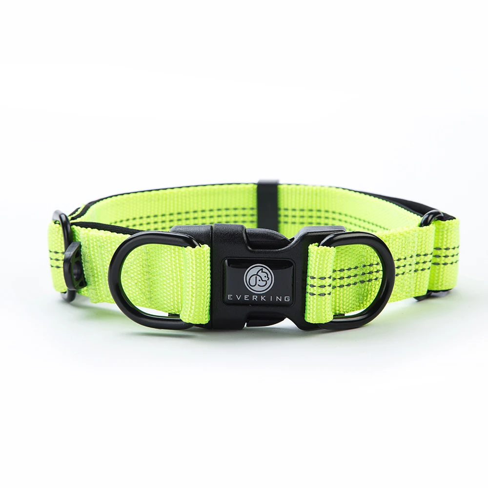 R Strong nylon collar fashion Personalized Logo outdoor dog collar washable