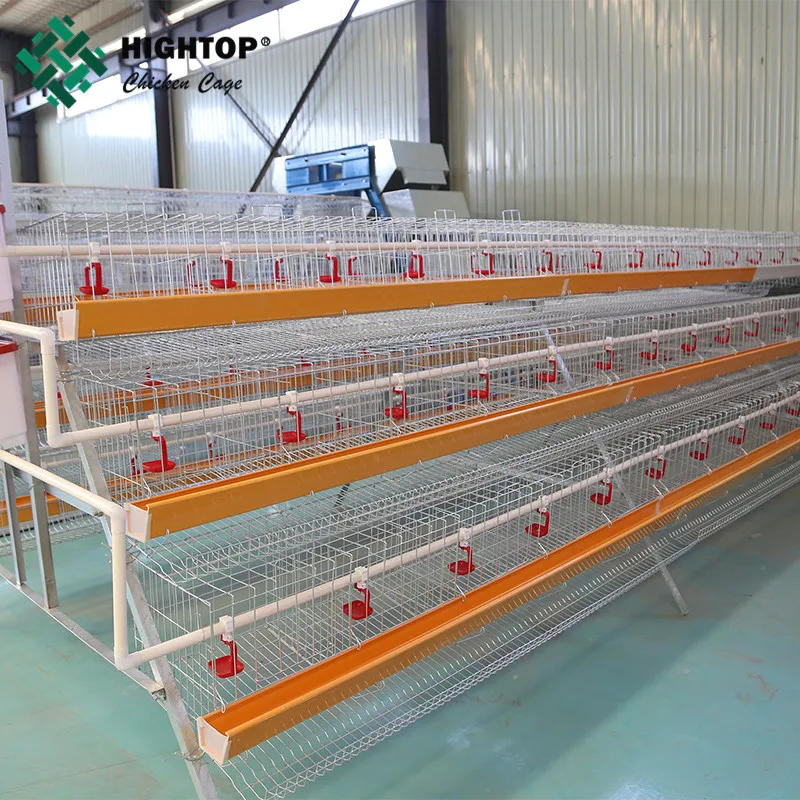 30 Years Lifetime Egg Hen Chicken Cage Layer Poultry Farm