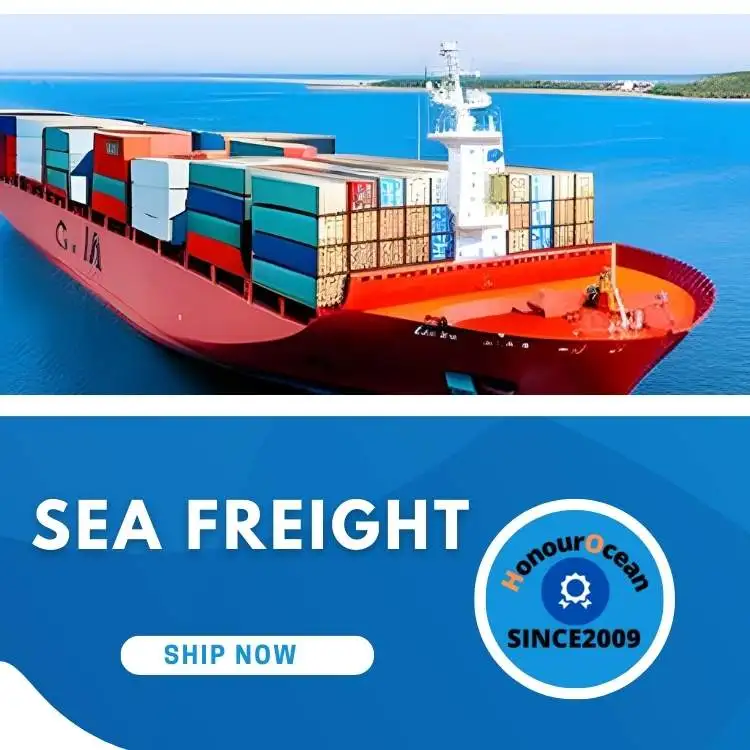 china top 10 freight forwarders international shipping  sea shipping agent china to Czech Republic