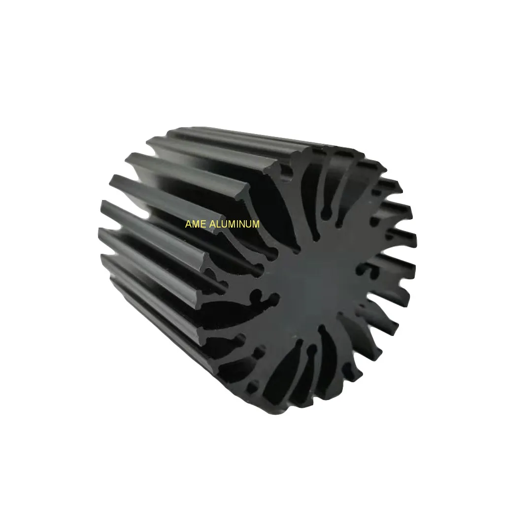 High Performance Customize Powder Coating Anodized Aluminum Passive LED Bulb Heat Sink