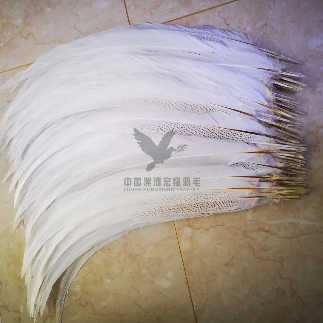  90-100cm Long size silver pheasant tail