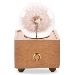 LED Light Wood Speaker Flower ball diy personalized luxury best great Valentine Day Gift set 2023 For a girl Her Wife Girlfriend