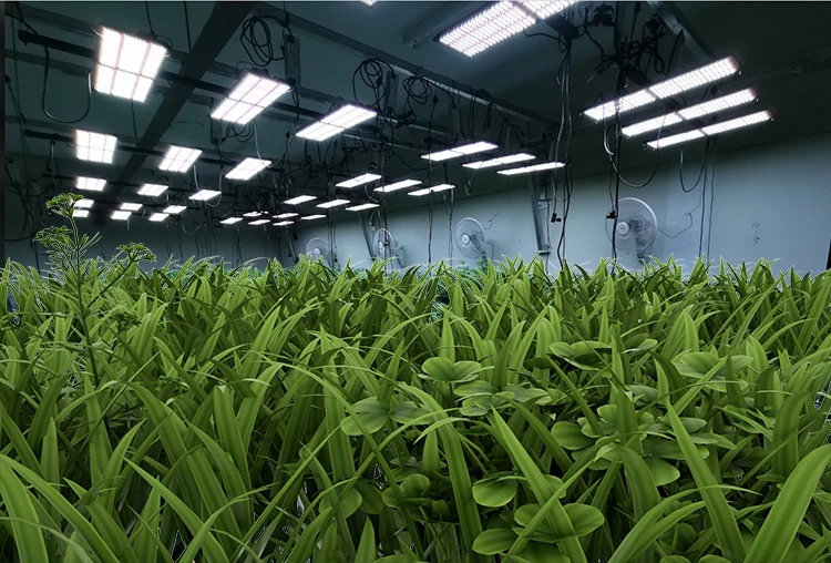 Amazon Best Seller Meijiu Board Meijiu Panel Full Spectrum 288 V2 V3 Red 660NM Meanwell Driver 240W Samsung Led Board