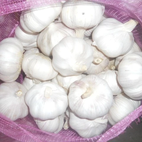 garlic garlic garlic/garlic market price of garlic/garlic wholesale