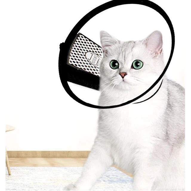 Technology Production Pet Recovery Shield Cover Dog Collar Pet Supplies