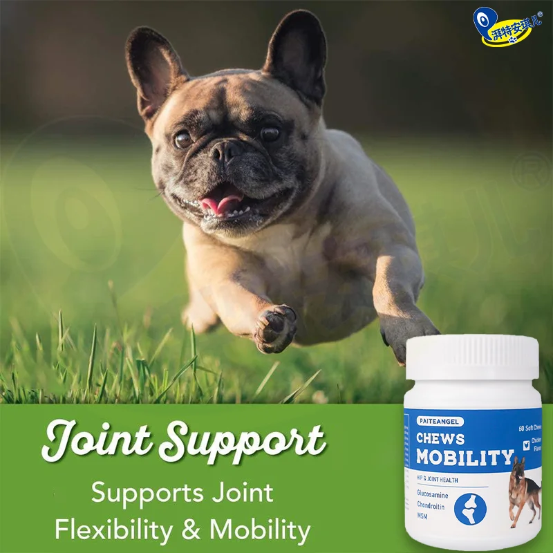 Dog Health Care Products Joint Supplement Msm Flex Extend Muscles Health Advanced Hip & Joint - Dog Joint Supplement