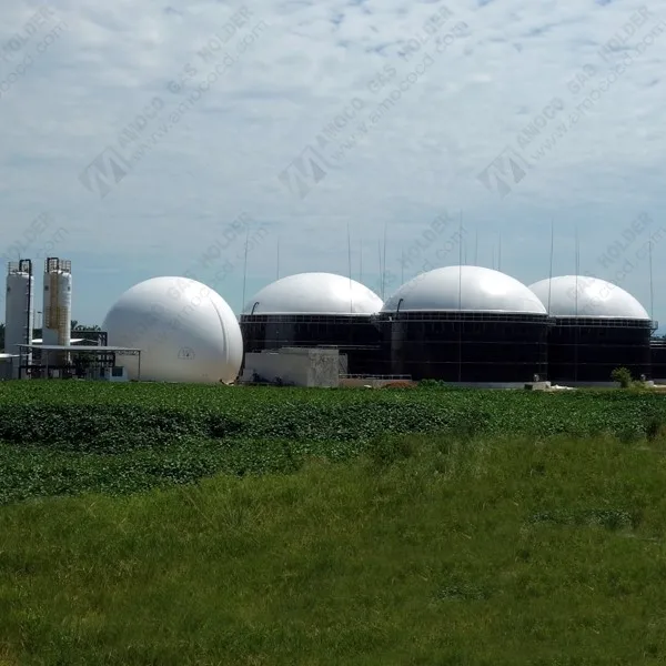 
Automatic Controlled Membrane Biogas Storage Tank/Biogas Balloon/Gas Holder for Biogas Digester in Malaysia 
