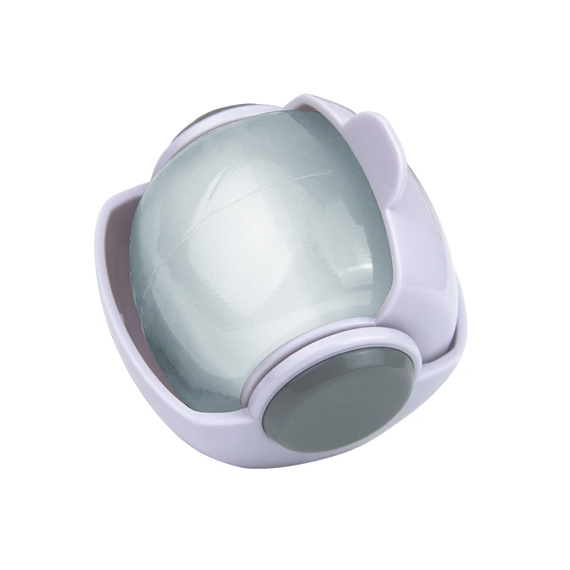 Customized Portable Washable Sticky Lint Roller Ball with Hood Case Reusable Travel for Cat and Dog Hair Fur Clothes