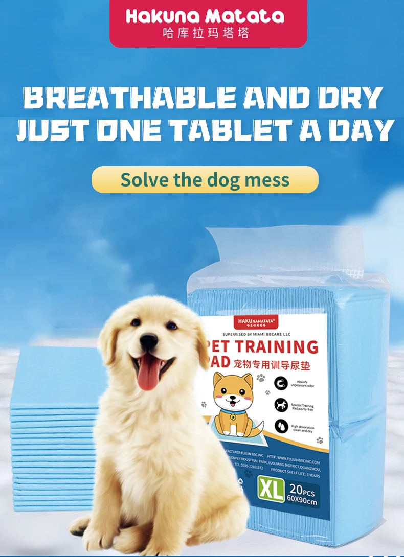 20-Year and Experienced Fujian BBC Inc. Factory Supply Pet Training Pad Pet Pad Puppy Training Pet Mats & Pads