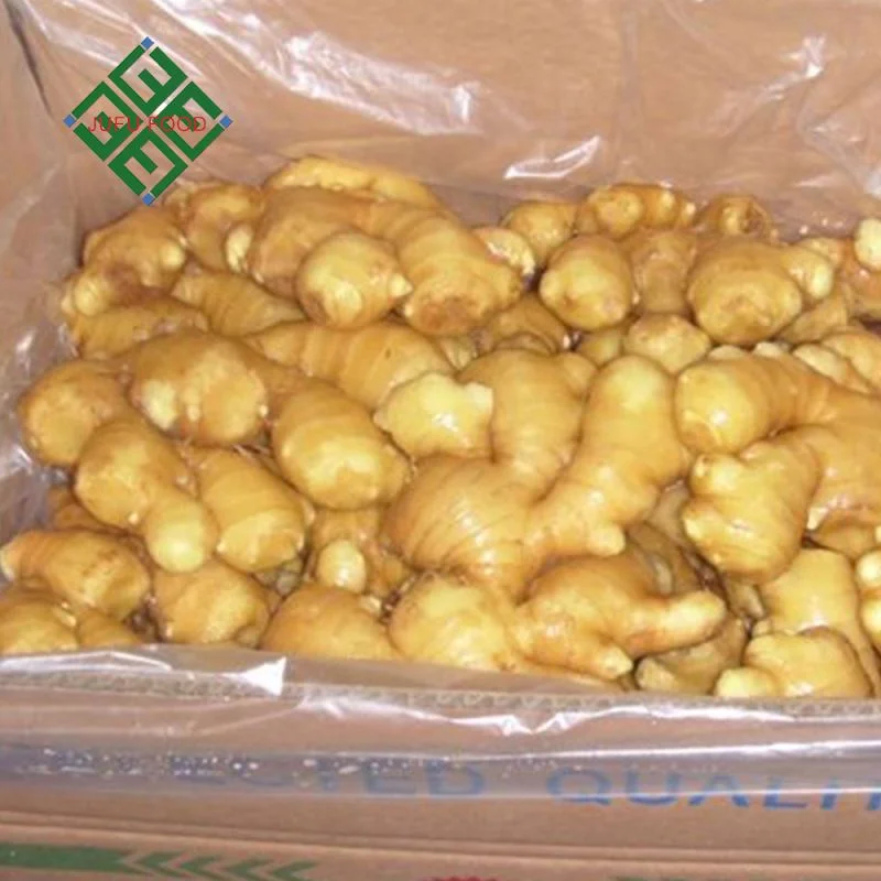 High quality Dry Ginger Professional export Fresh Clean ginger for wholesale