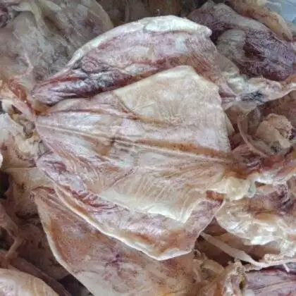 Различные размеры сушеные кальмары из Вьетнама