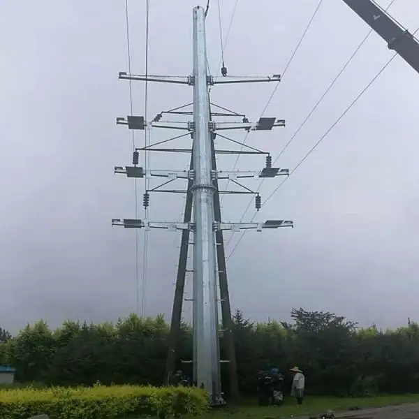 10-100m Customized Ground Electric pole Smart Pole outdoor Electric Steel Tower
