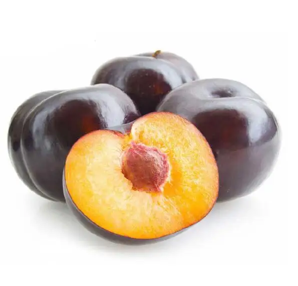 Water soluble Instant Prunes extract dark sour plum powder plum juice powder