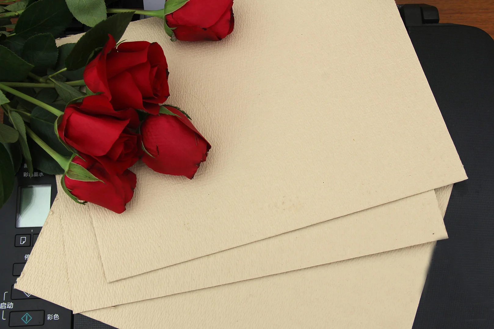 biodegradable pulp for Ecological Packaging Materials molded pulp packaging