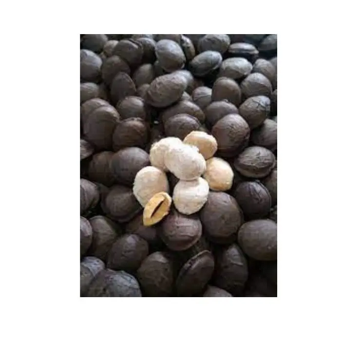 Жареная пена сачи гайка из Вьетнама-масло марки сачи-Хелен + 84 374 288 086