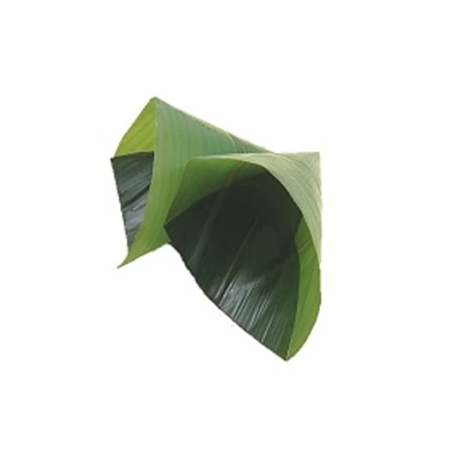 Japanese botanical cup bamboo wood cup with safety and high-quality