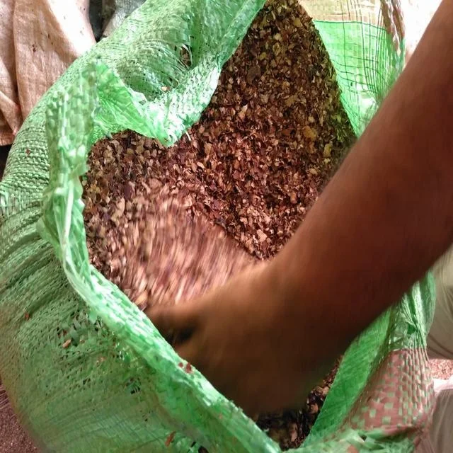 WHOLESALE DRIED CASHEW HUSK POWDER/ CASHEW SHELL NUT WASTE, VIETNAM CASHEW HUSK