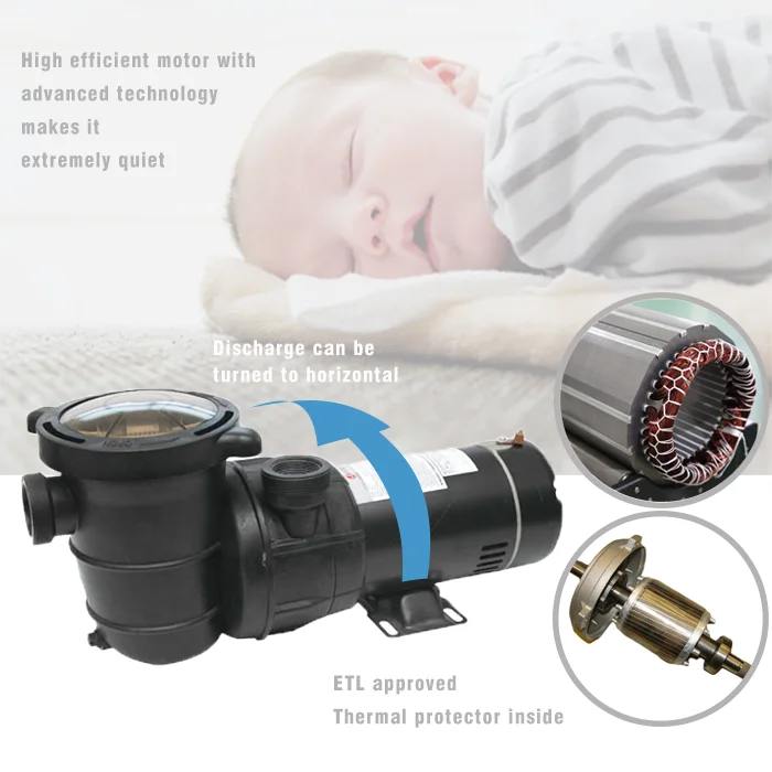 J11503 60HZ Swimming Pool Above Ground Pump