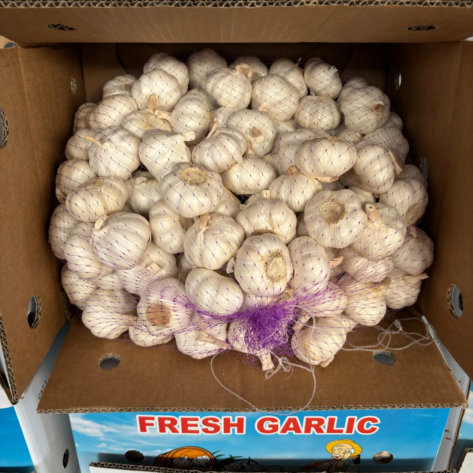 Wholesale Exclusive Import Opportunity Stock Up Save Garlic Frozen Vegetables Frozen Garlic From Viet Nam