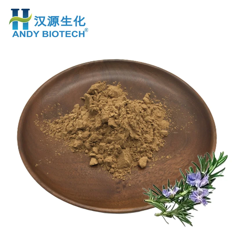 Manufacturer Supply Water soluble 5% Rosmarinic Acid Rosemary Extract Powder