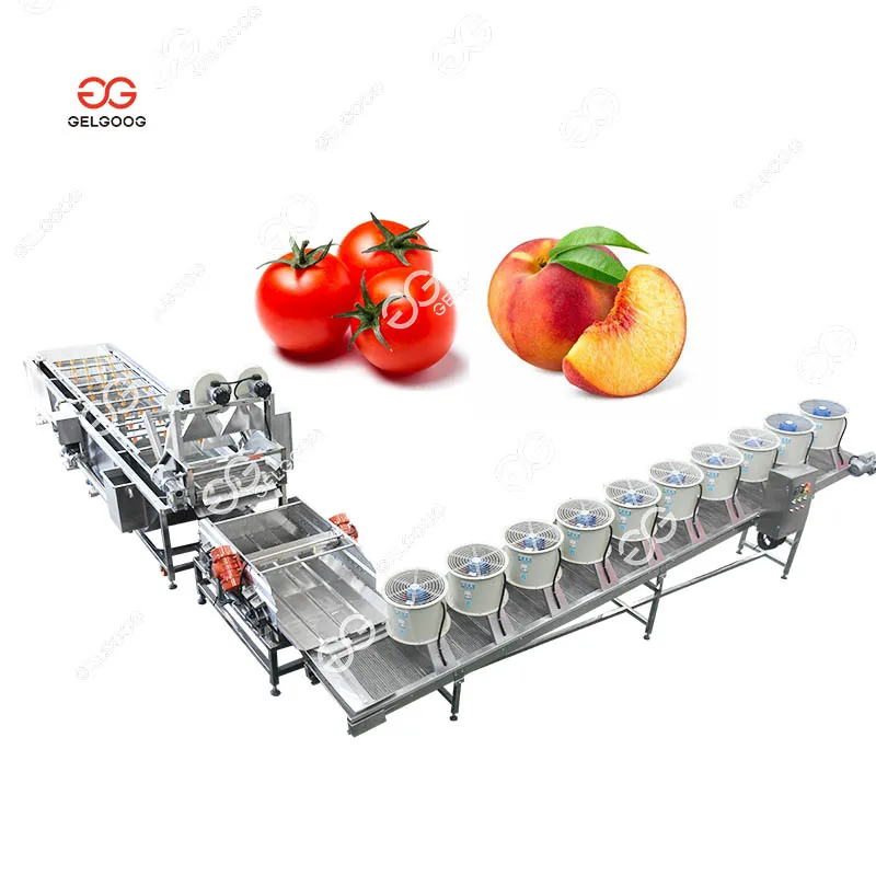 Gelgoog Strawberry Drying Dry Banana Potato Production Line Dried Peaches Sweet Potato Slicer Processing Line