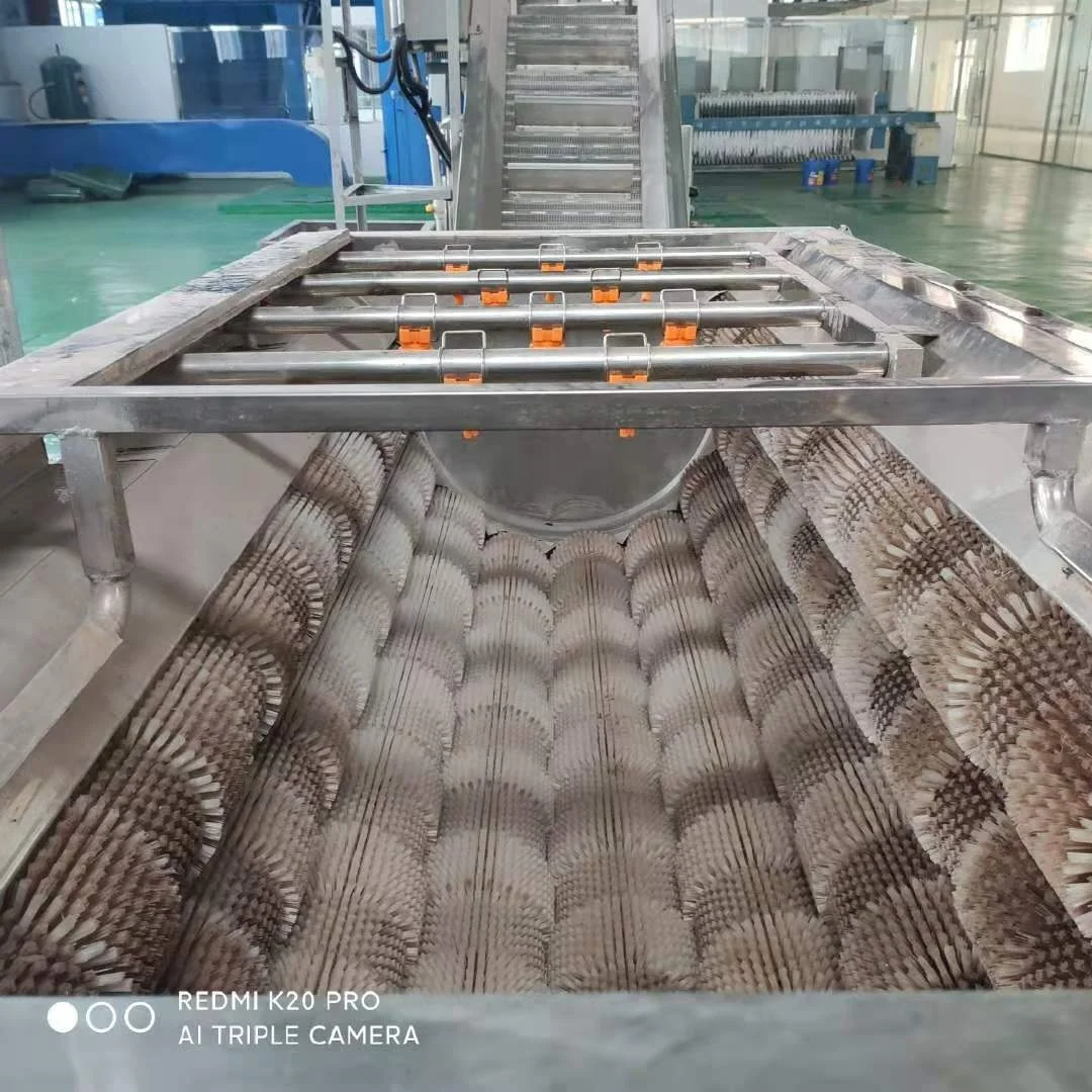 Сушильная машина porang konjac 30 тонн/24 часа с газовой плитой для струйных чипов konjac, обработка порошка konjac