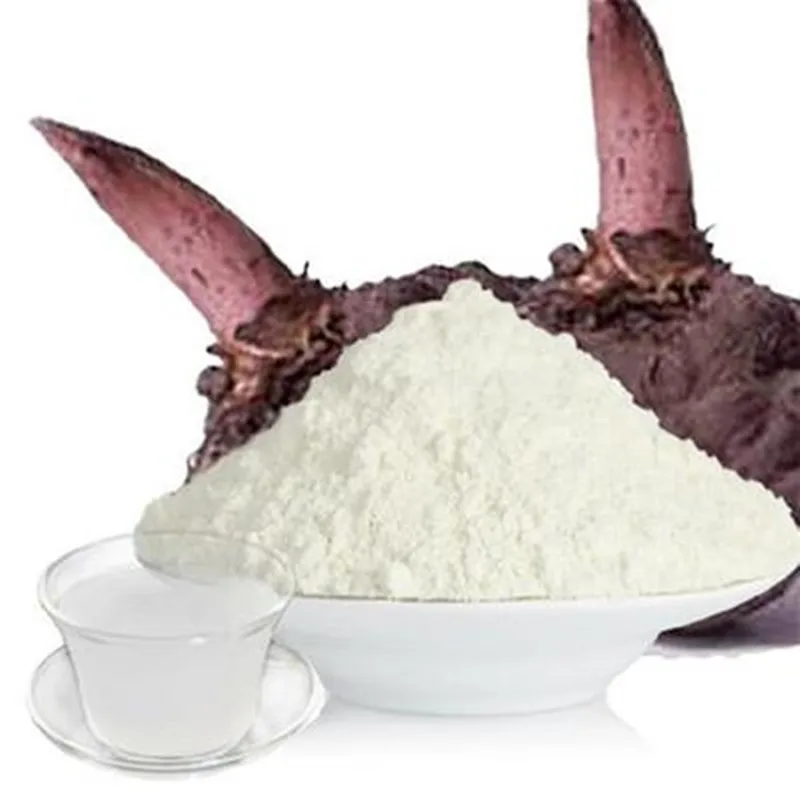 professional low cost  500-1000 kg/h  porang konjac washing slicing mesh belt drying konjac  flour grinding machine  line