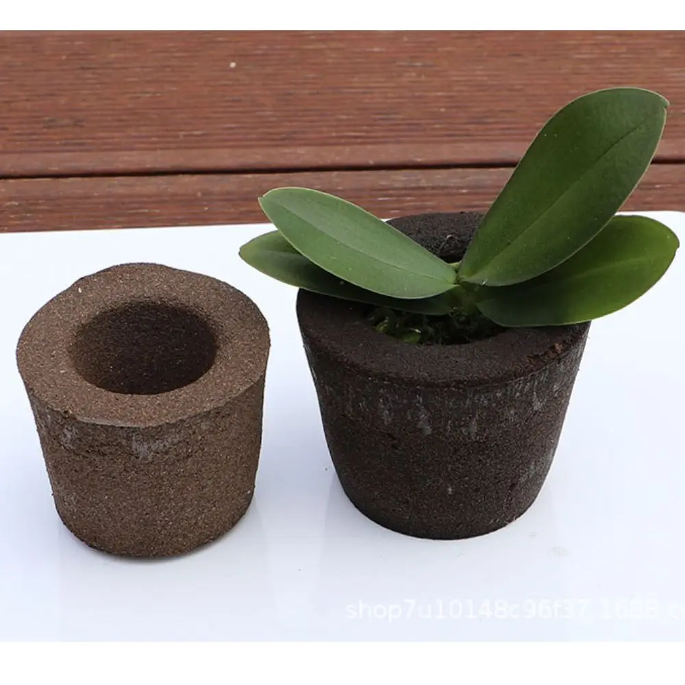 30ML Smart Soil with nutrition peat pot nutrition coconut peat soil block coco peat block