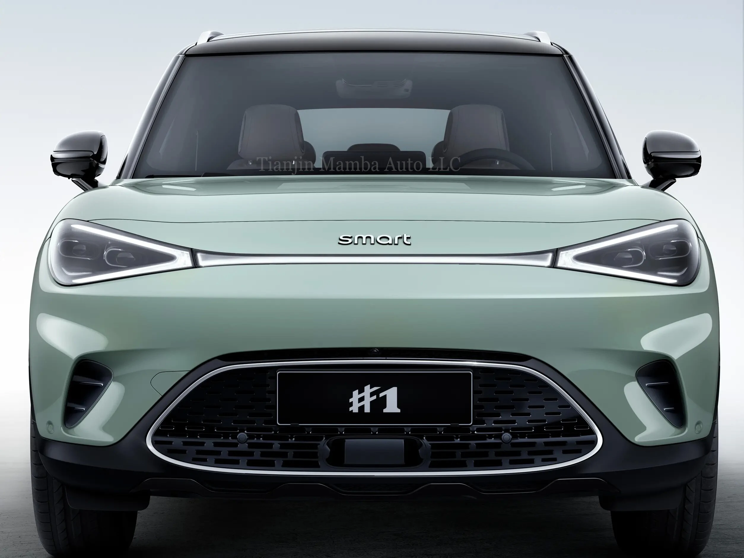 Mini Electric Car Smart Elf #1Five Seats Electric SUV New Energy Vehicles