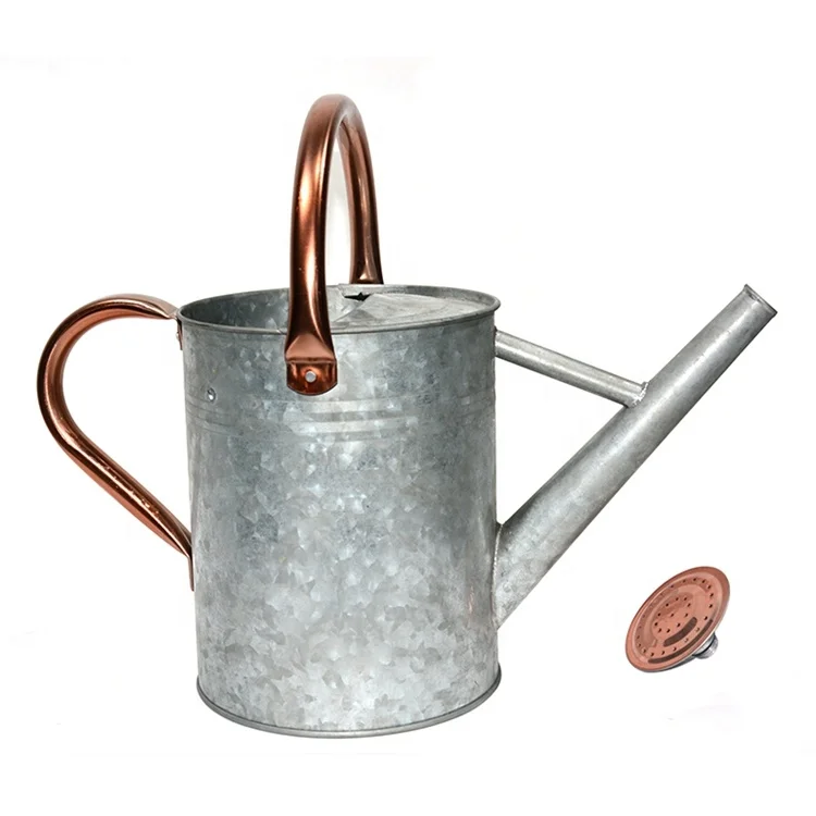 High quality product 3.8L 0.57kg metal indoor watering can for succulents