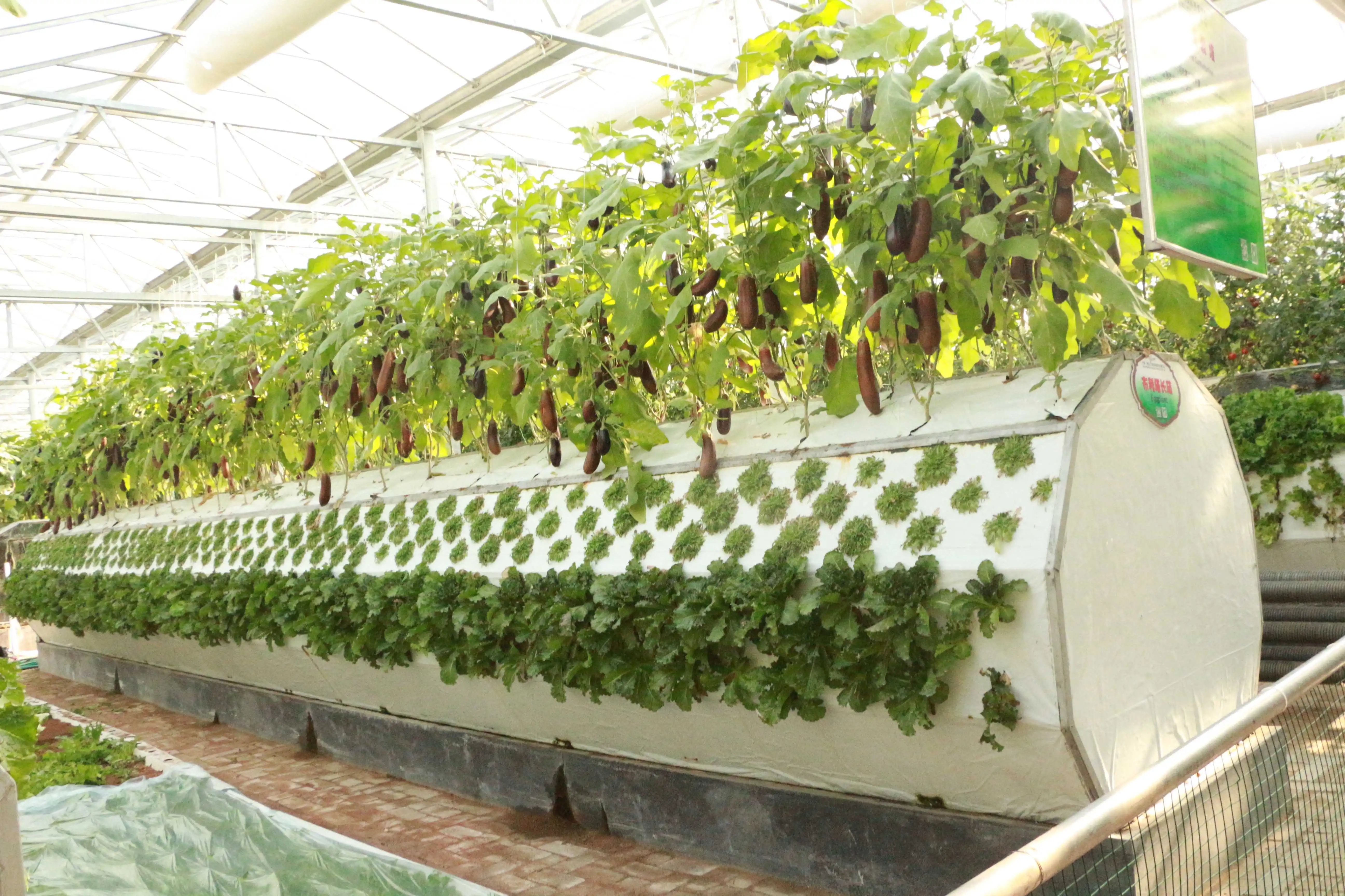 China Modern Agriculture Aeroponics Culture System for Vegetables/Fruits